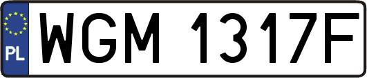 WGM1317F