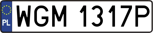 WGM1317P