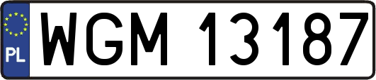 WGM13187