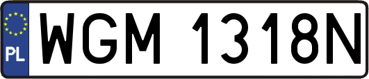 WGM1318N