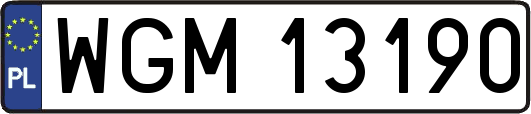 WGM13190