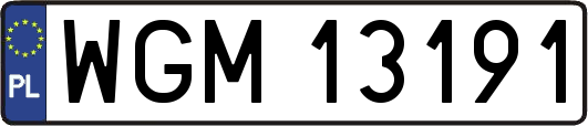 WGM13191