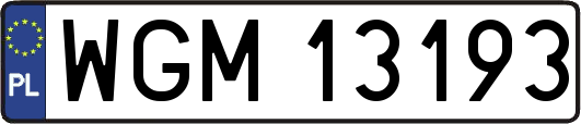 WGM13193
