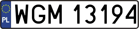 WGM13194