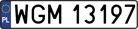 WGM13197