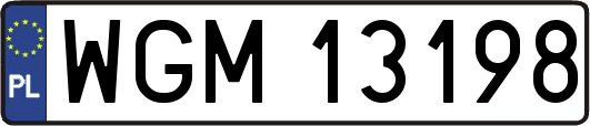 WGM13198