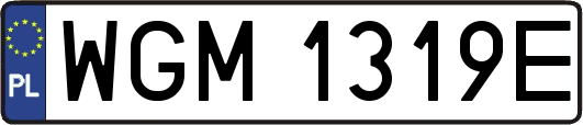 WGM1319E