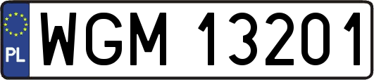 WGM13201