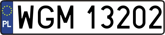WGM13202