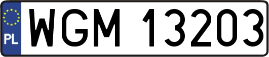 WGM13203