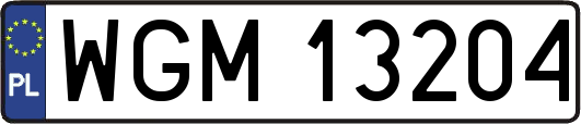 WGM13204