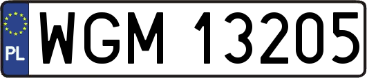 WGM13205