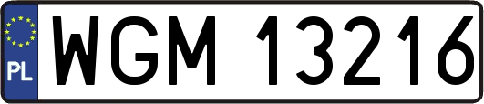WGM13216