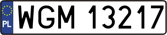 WGM13217