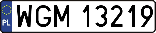 WGM13219