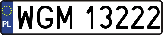 WGM13222