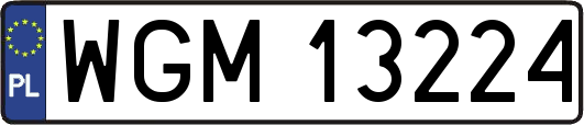 WGM13224