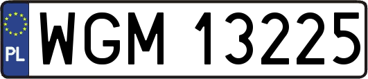WGM13225