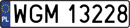 WGM13228