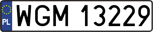 WGM13229