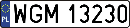 WGM13230