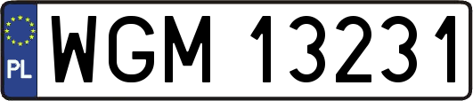 WGM13231
