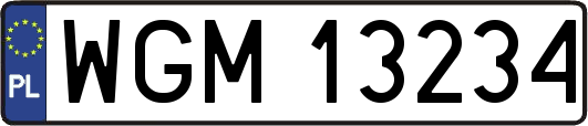 WGM13234
