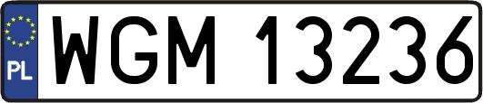 WGM13236
