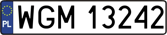 WGM13242