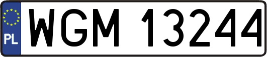 WGM13244