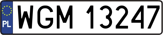 WGM13247