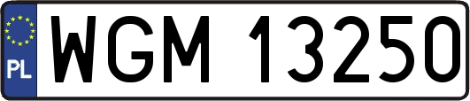 WGM13250