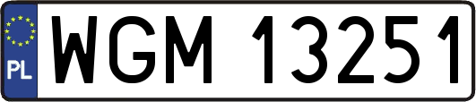 WGM13251