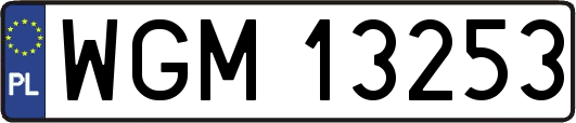 WGM13253