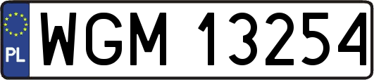 WGM13254