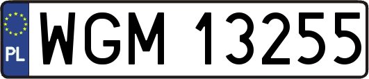 WGM13255