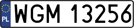 WGM13256