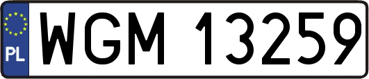 WGM13259