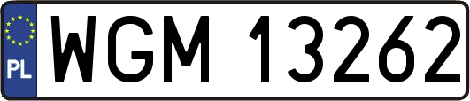 WGM13262
