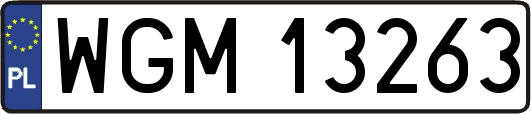 WGM13263