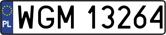 WGM13264
