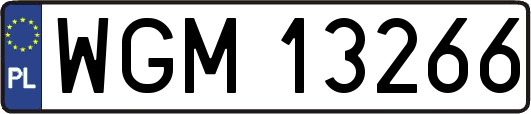 WGM13266