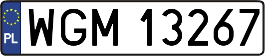 WGM13267