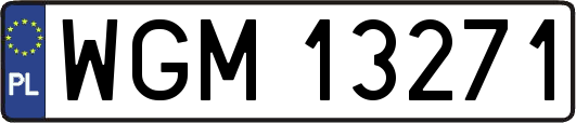WGM13271