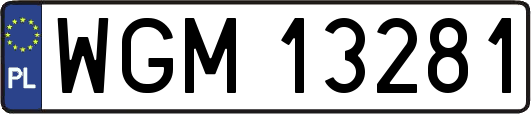 WGM13281