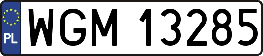 WGM13285