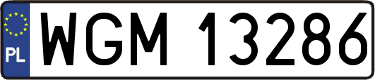 WGM13286