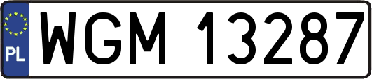 WGM13287