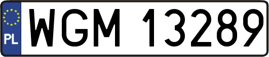 WGM13289