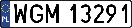 WGM13291